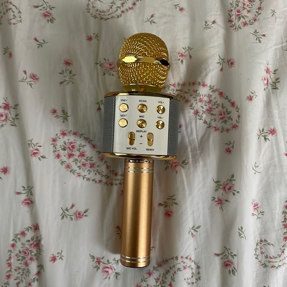 Other - wireless microphone